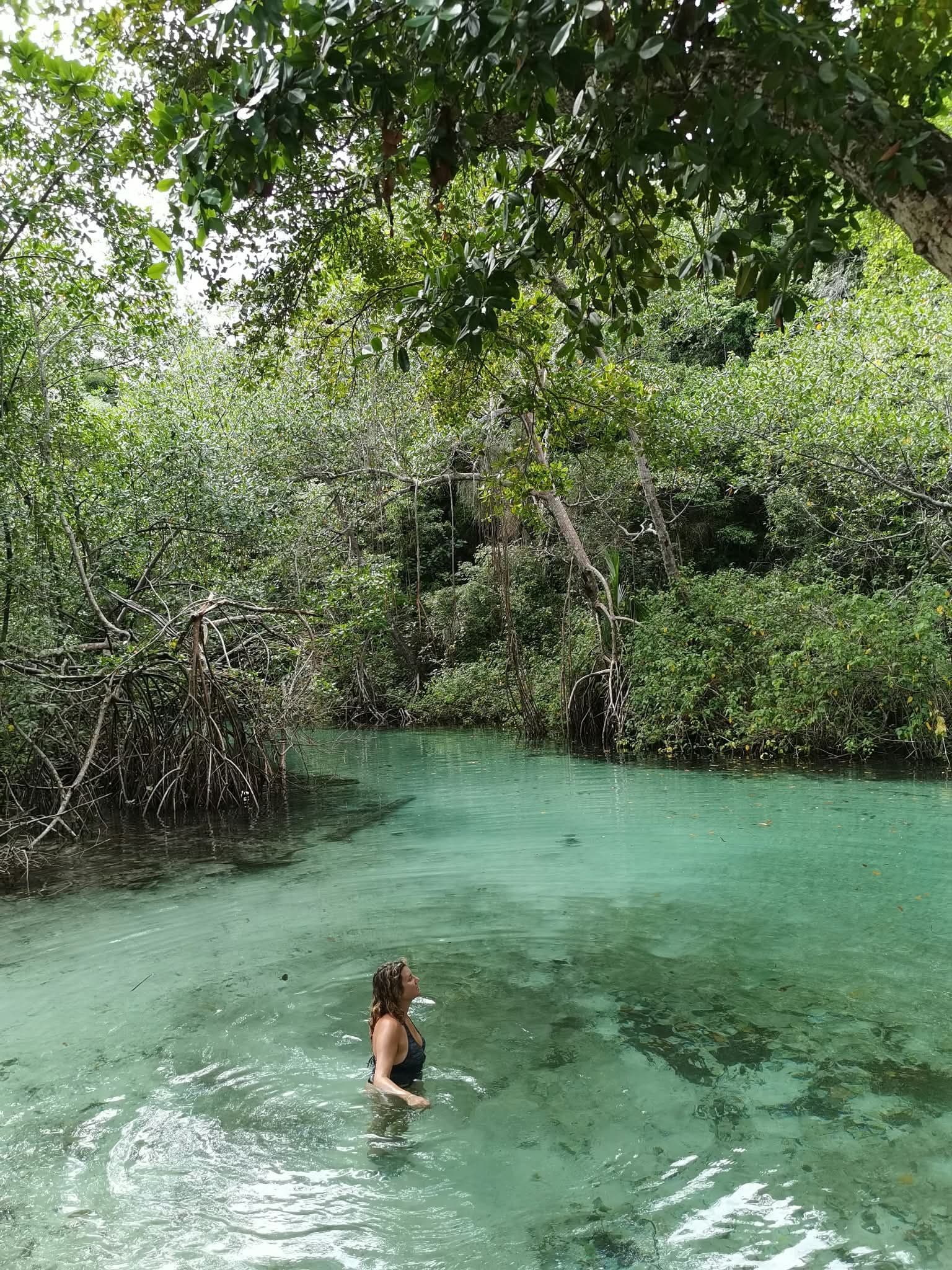 Playa Rincón, Caño Frío & the Cacao House by Private Taxi gallery image