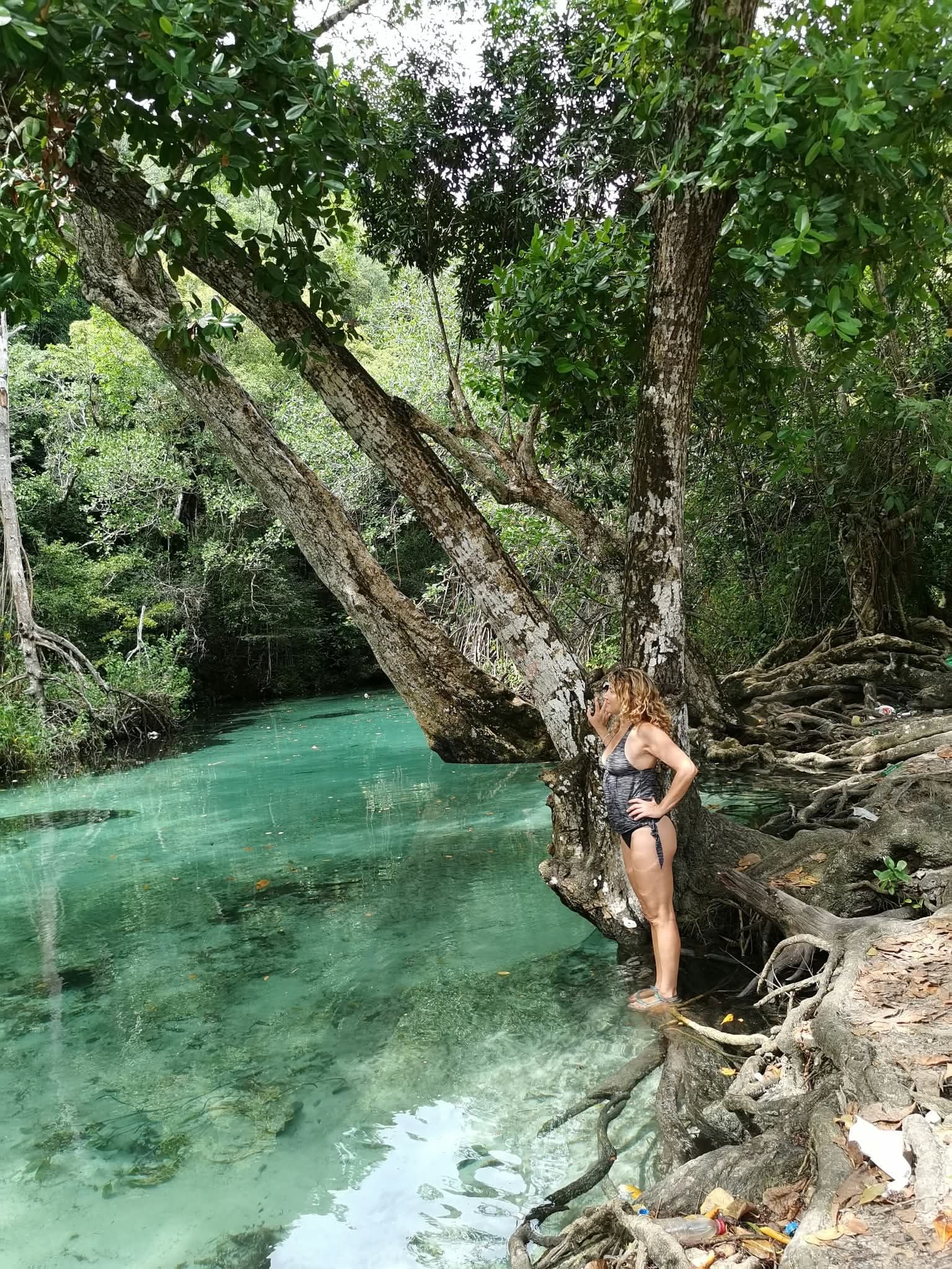 Tour privado en taxi para 2 — Playa Rincón, Caño Frío y la casa del cacao gallery image