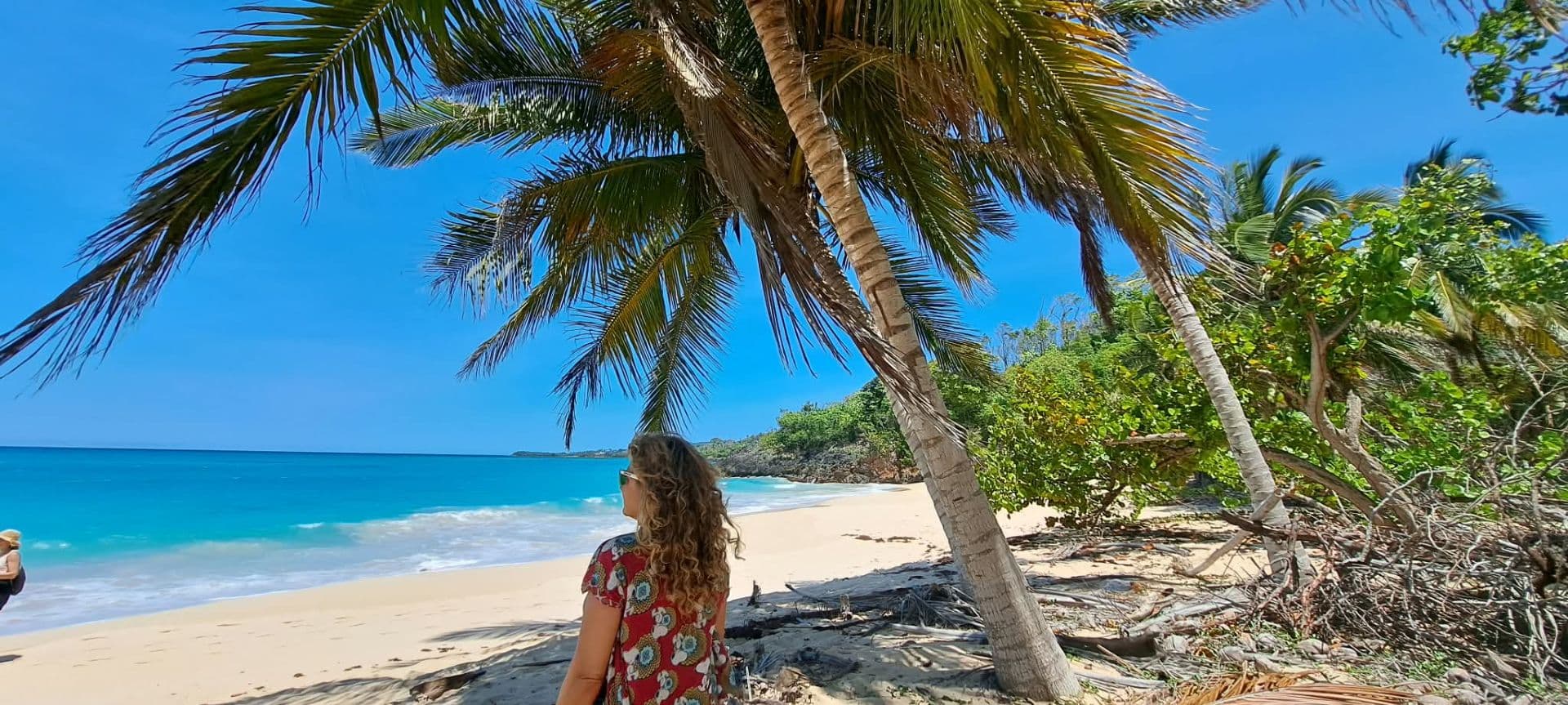 Playa Rincón, Caño Frío & the Cacao House by Private Taxi gallery image