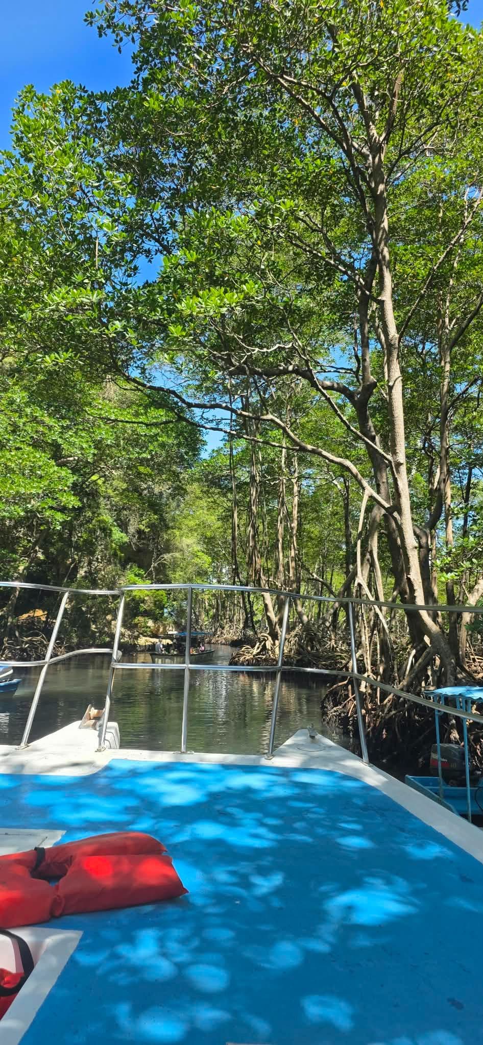 Los Haitises National Park & Cayo Levantado by Shared Boat gallery image