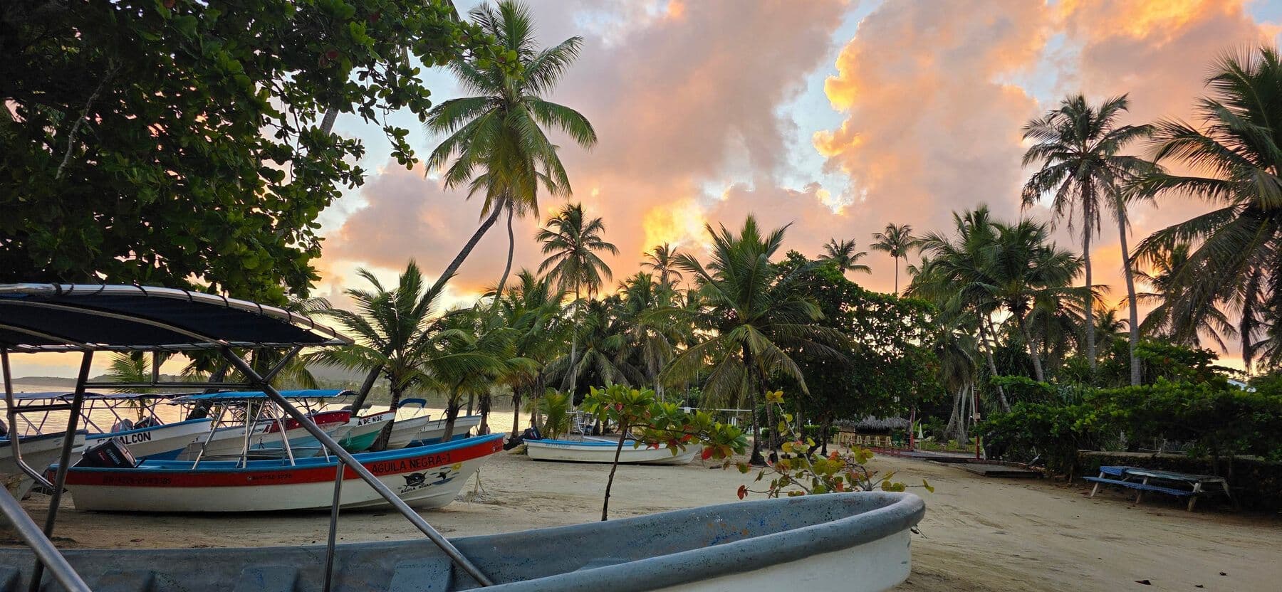 Experiencia Samaná — Un voyage privé de 12 jours avec hôtels, transferts et guide