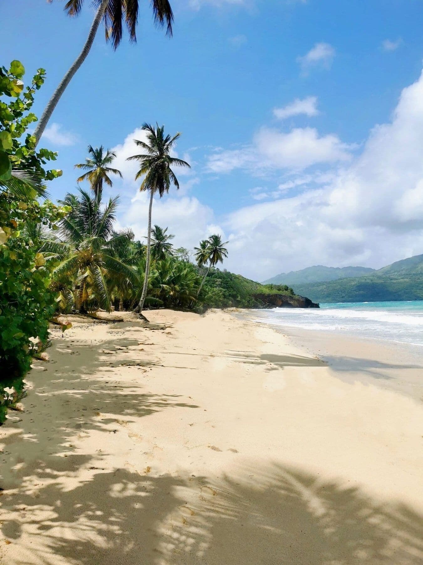 Experiencia Samaná — Un voyage privé de 12 jours avec hôtels, transferts et guide gallery image
