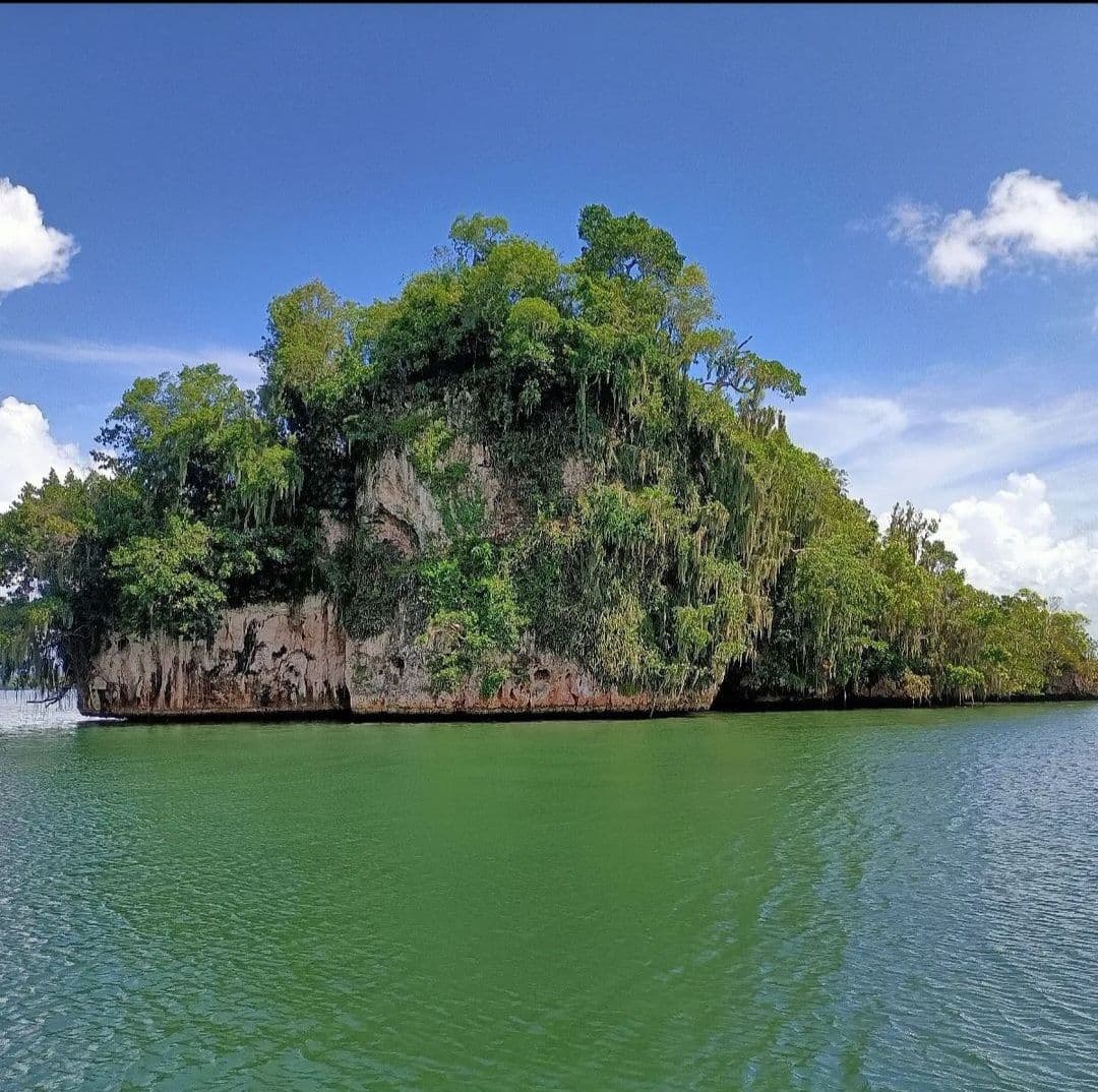 Los Haitises et Cayo Levantado avec repas et transport depuis Samaná : photo de la galerie