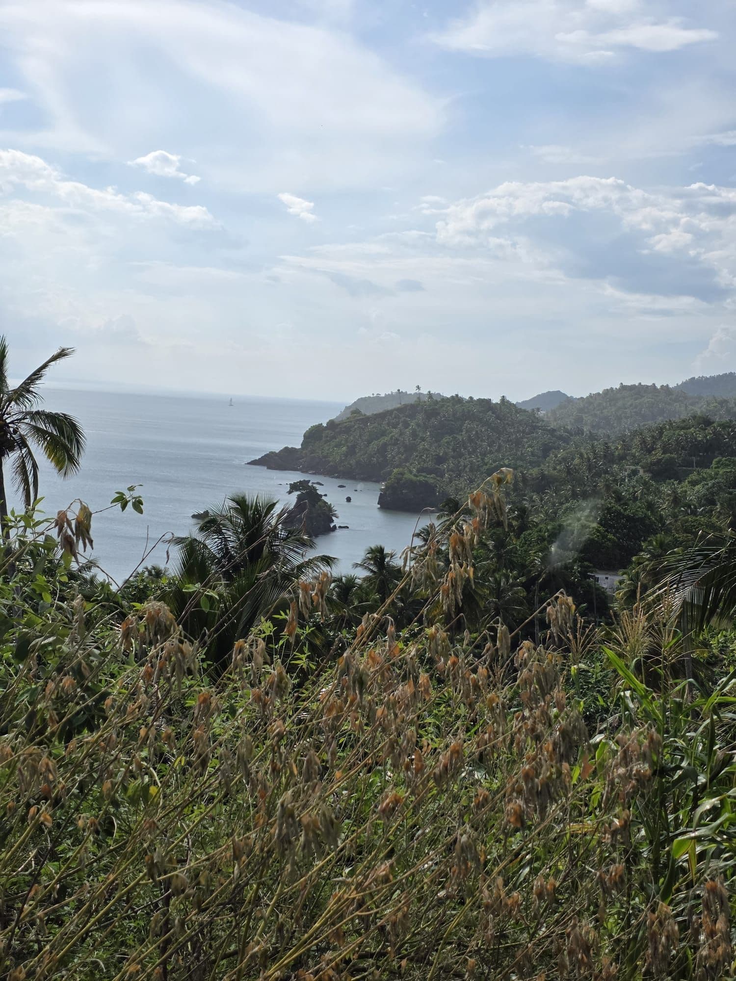 El Valle Safari with a Stop in Samana Town gallery image