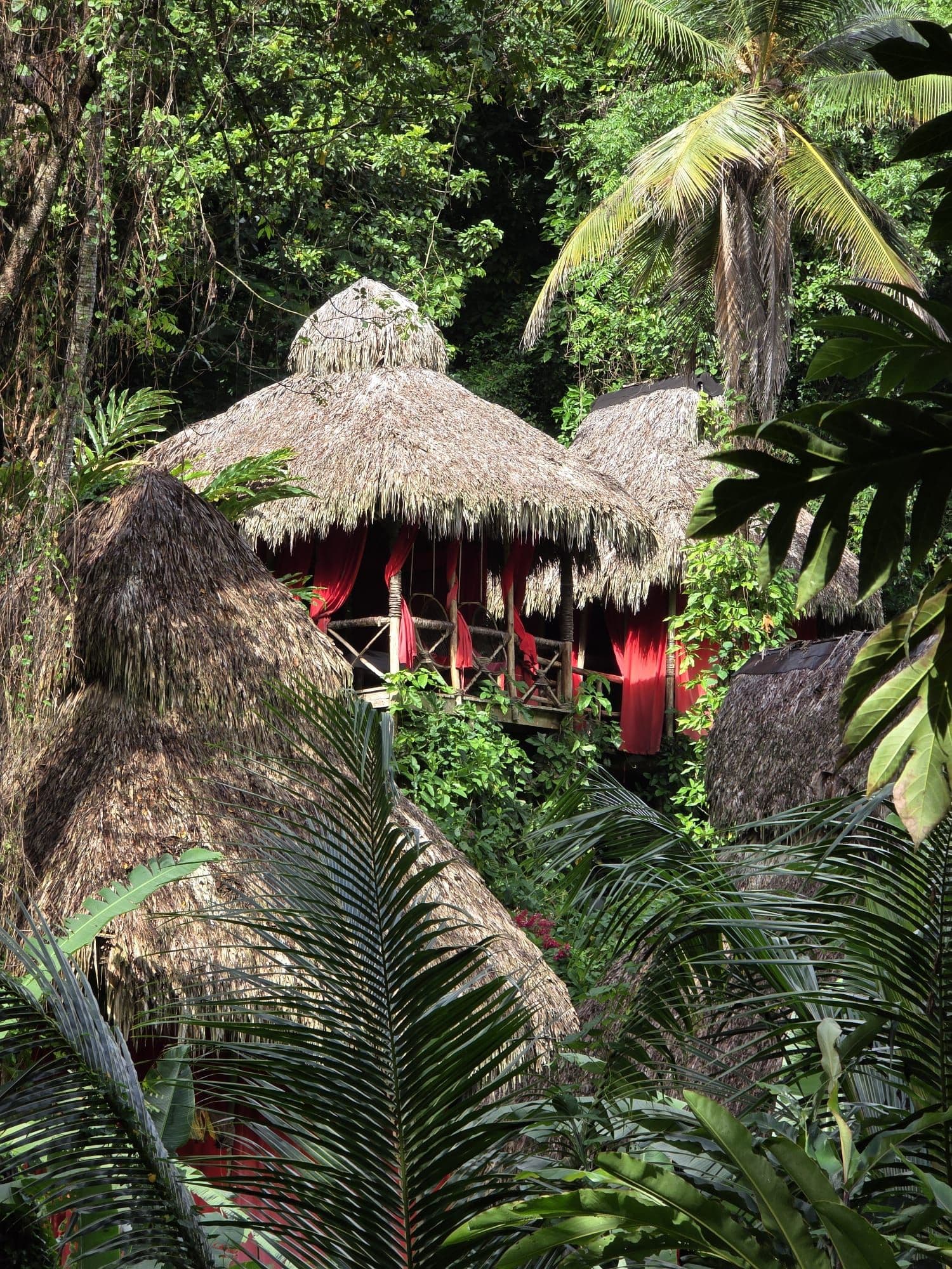 El Valle Safari with a Stop in Samana Town