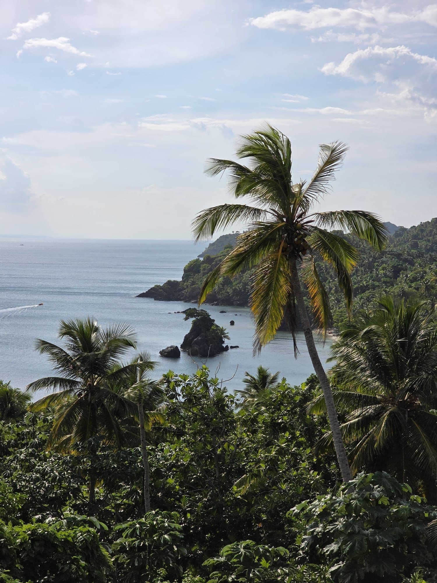 El Valle Safari with a Stop in Samana Town gallery image