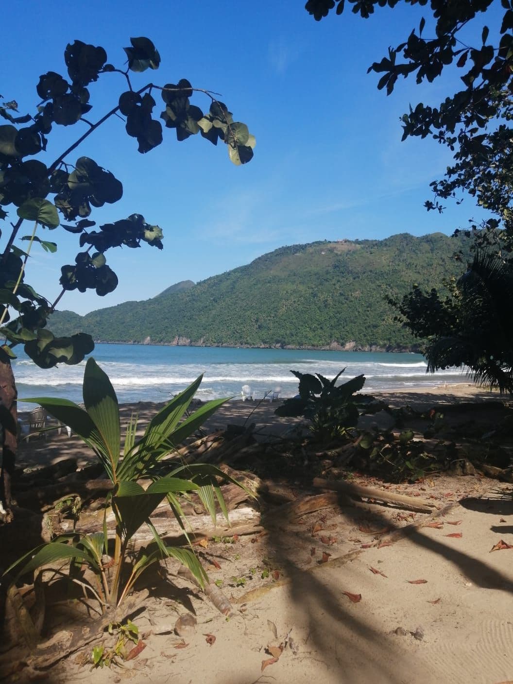 El Valle Safari with a Stop in Samana Town gallery image