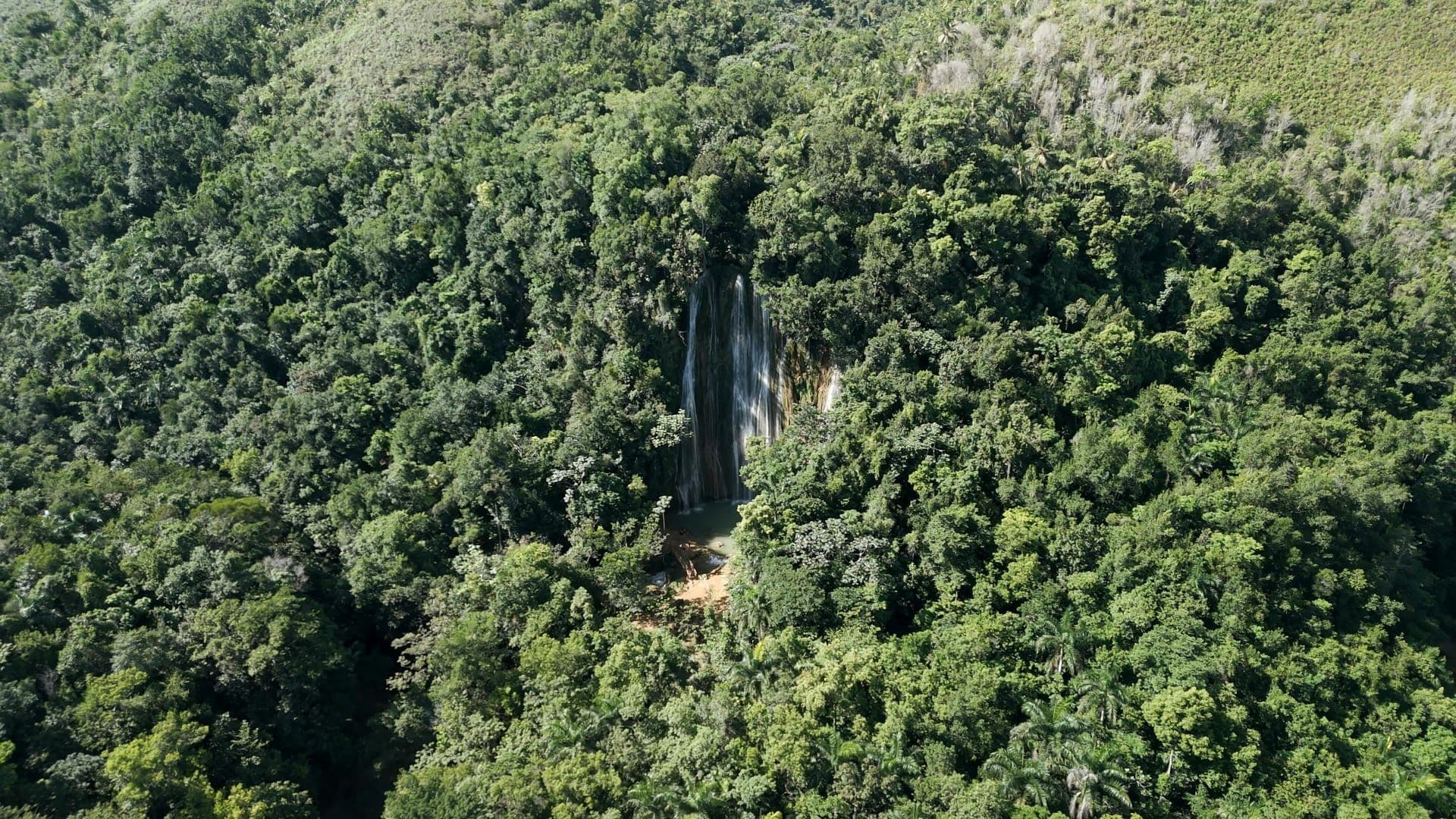 El Limon Waterfall, Local Family Visit & Samana Town gallery image
