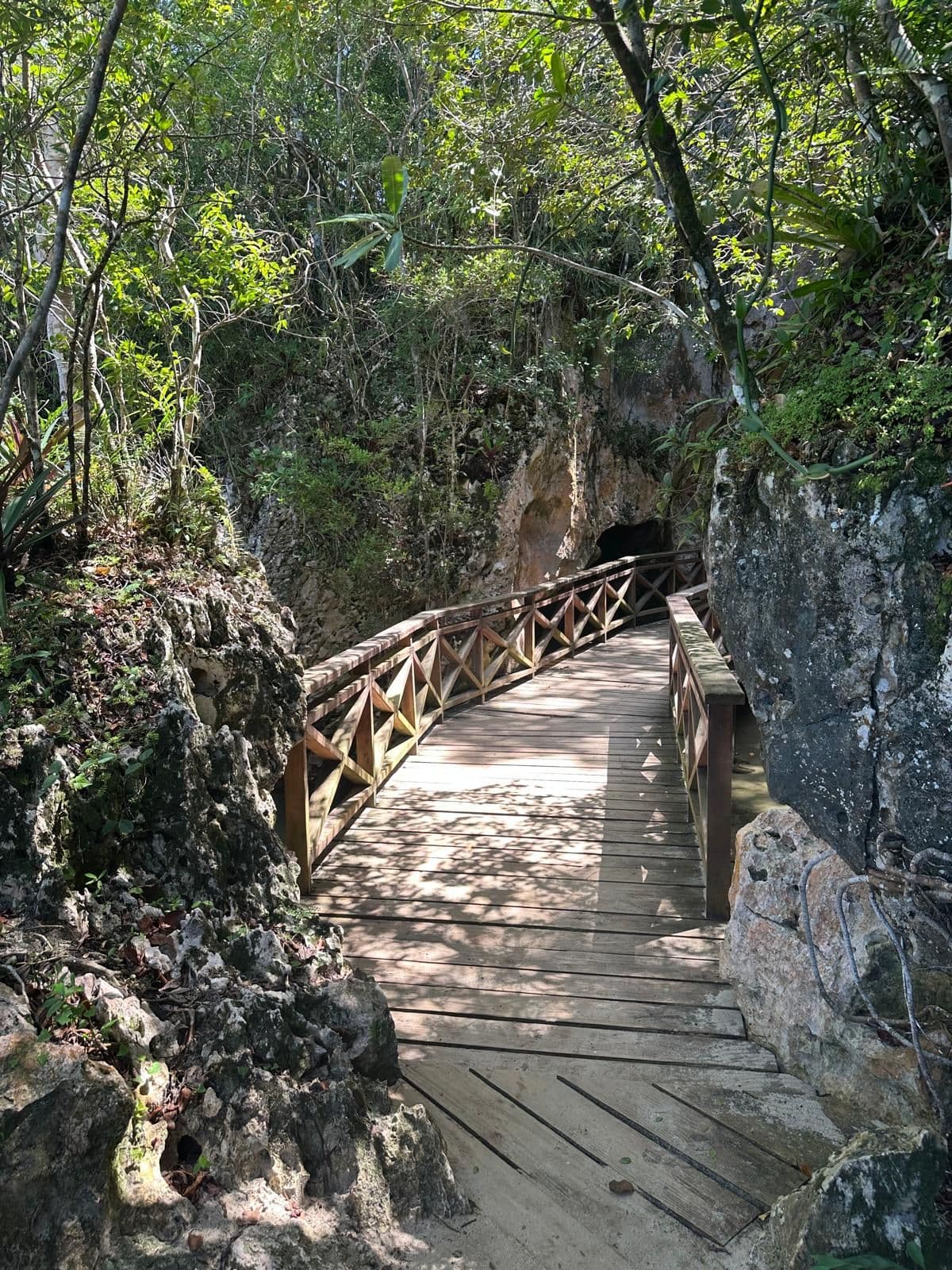 Los Haitises by Catamaran & Cayo Levantado gallery image