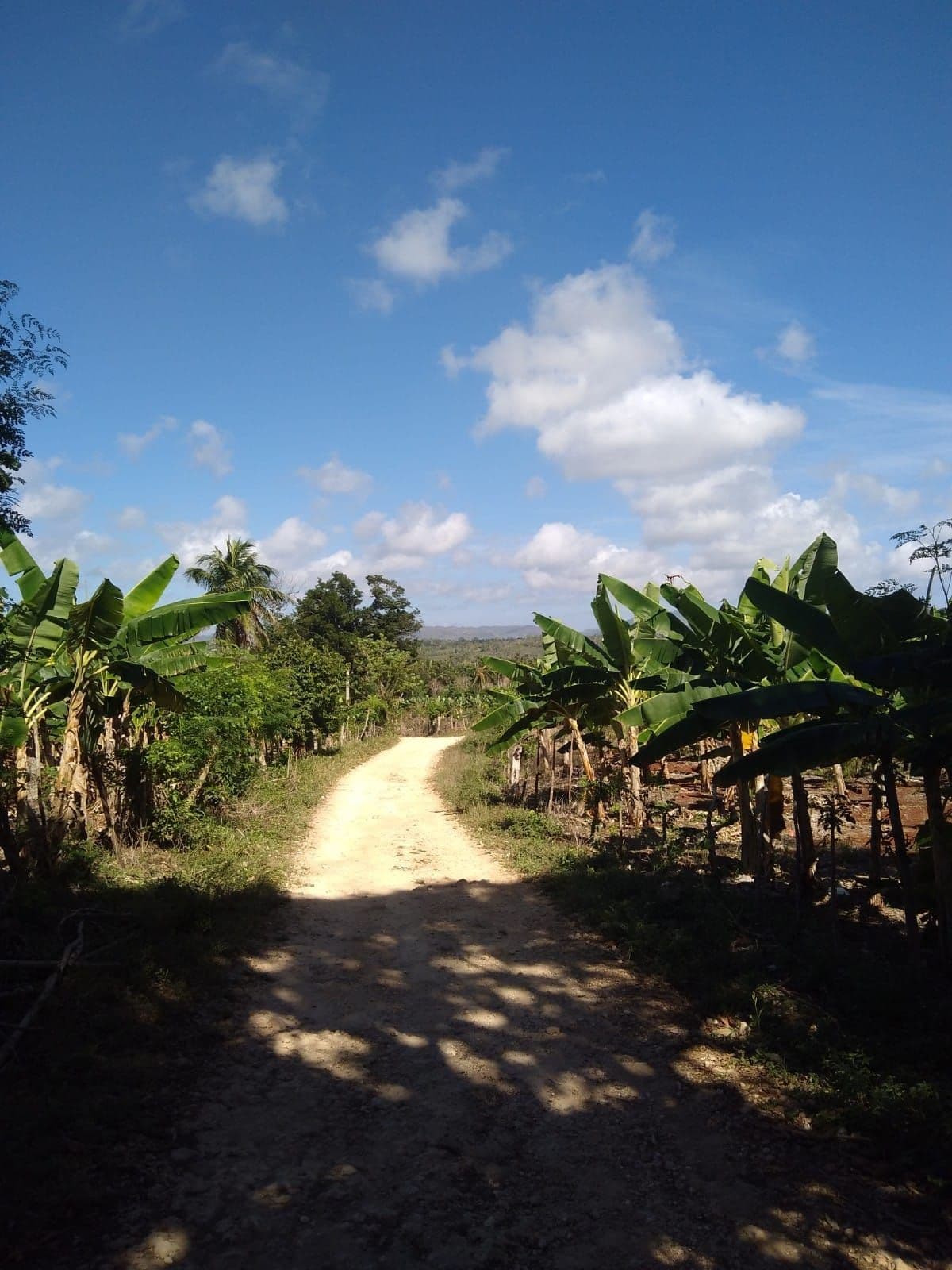 Quad Tour to Playa Rincon gallery image