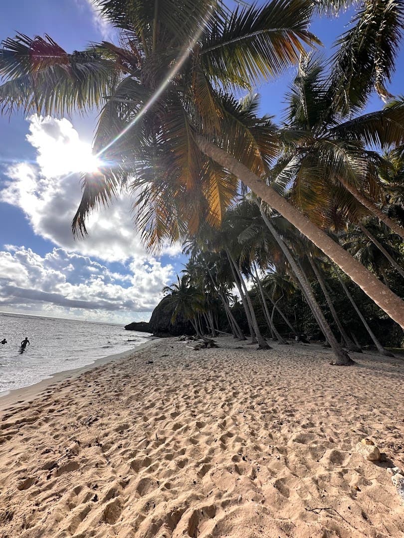 Boat Trips & Beach Excursions — Las Galeras gallery image