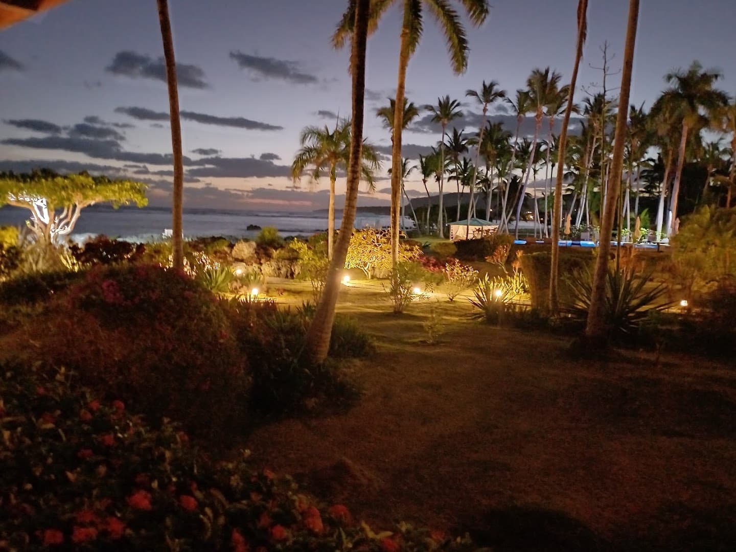 Yoga & Aerial Yoga with Angelina, Las Galeras gallery image