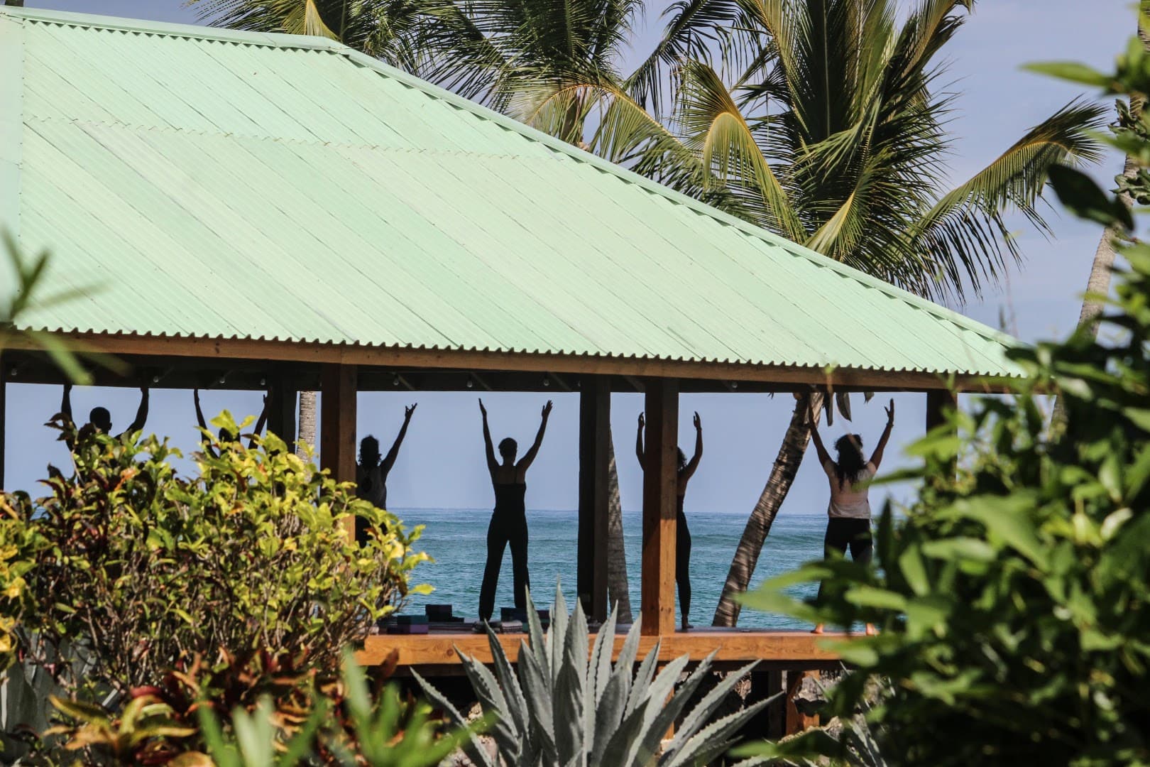 Yoga & Aerial Yoga with Angelina, Las Galeras gallery image