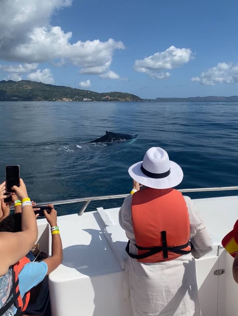 Los Haitises and Paraíso Caño Hondo — Private Trip gallery image