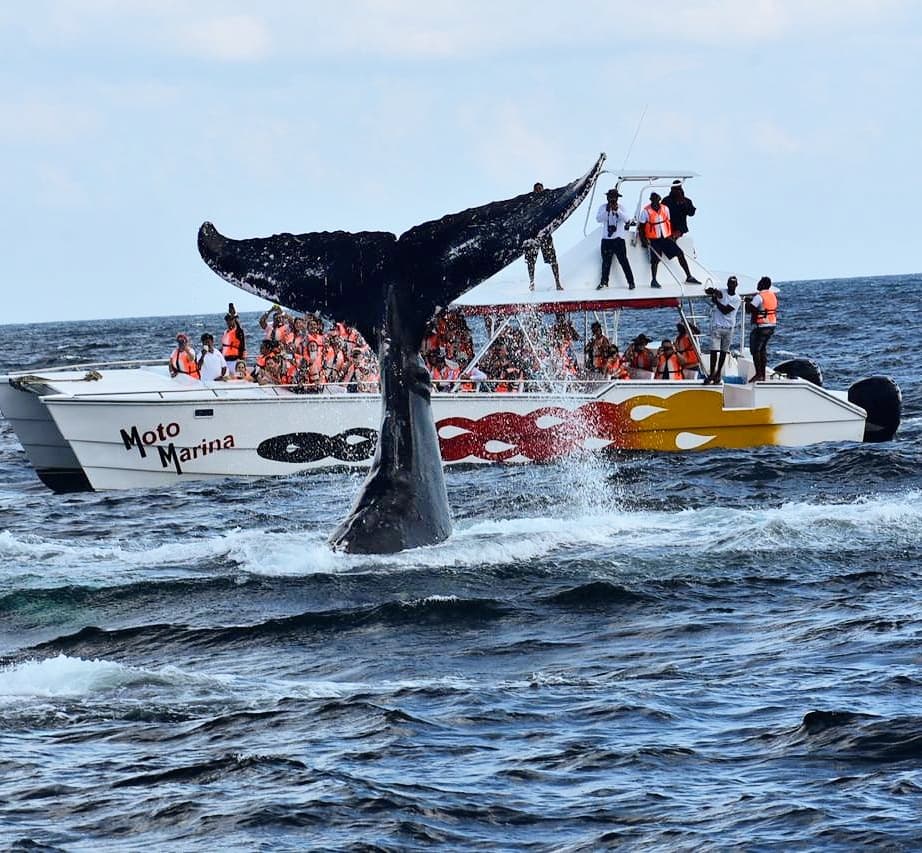Los Haitises and Paraíso Caño Hondo — Private Trip gallery image