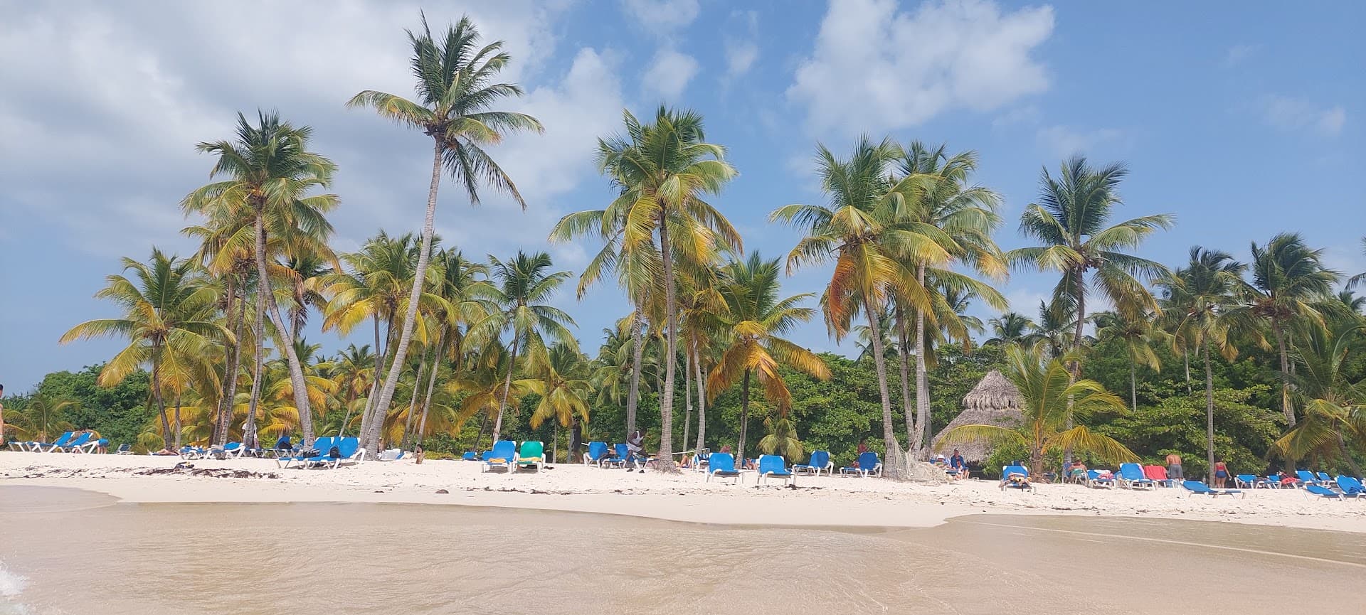 Cayo Levantado con Almuerzo — Bote Compartido, Enero a Marzo