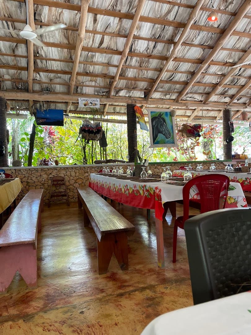Horseback Ride to El Limón Waterfall from Parada la Manzana gallery image