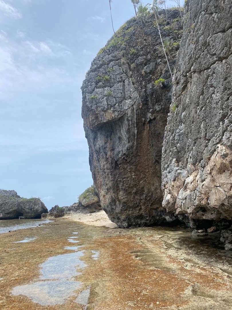 Boat Trip to Playa Frontón, Las Tortugas & Madama gallery image