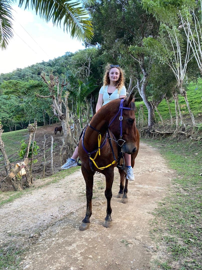 Forest Trail Ride — No Roads gallery image
