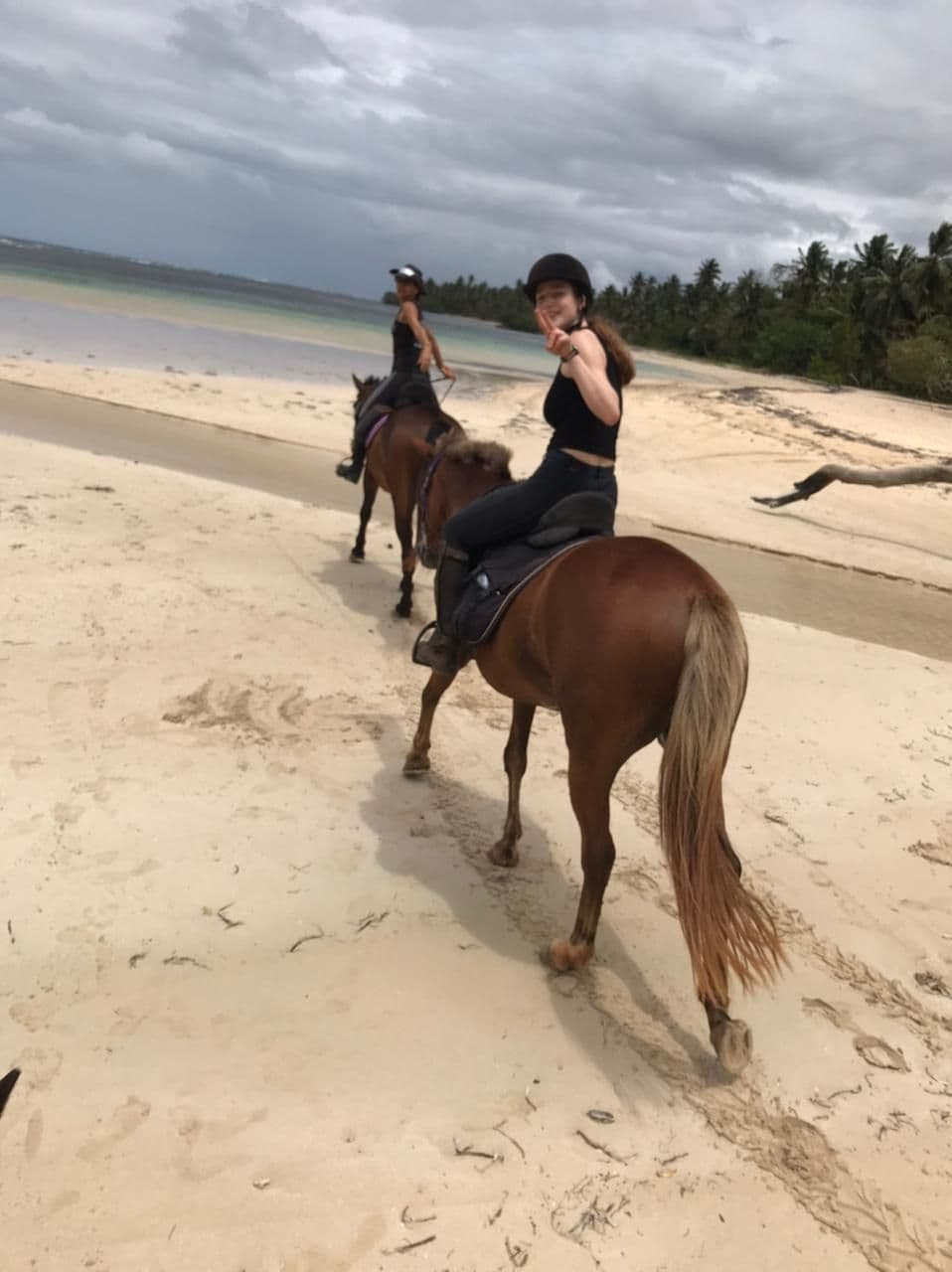 Swimming with the Horses — Half Day gallery image