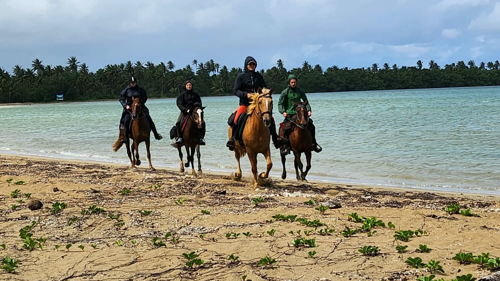 Nager avec les chevaux — Demi-journée : photo de la galerie