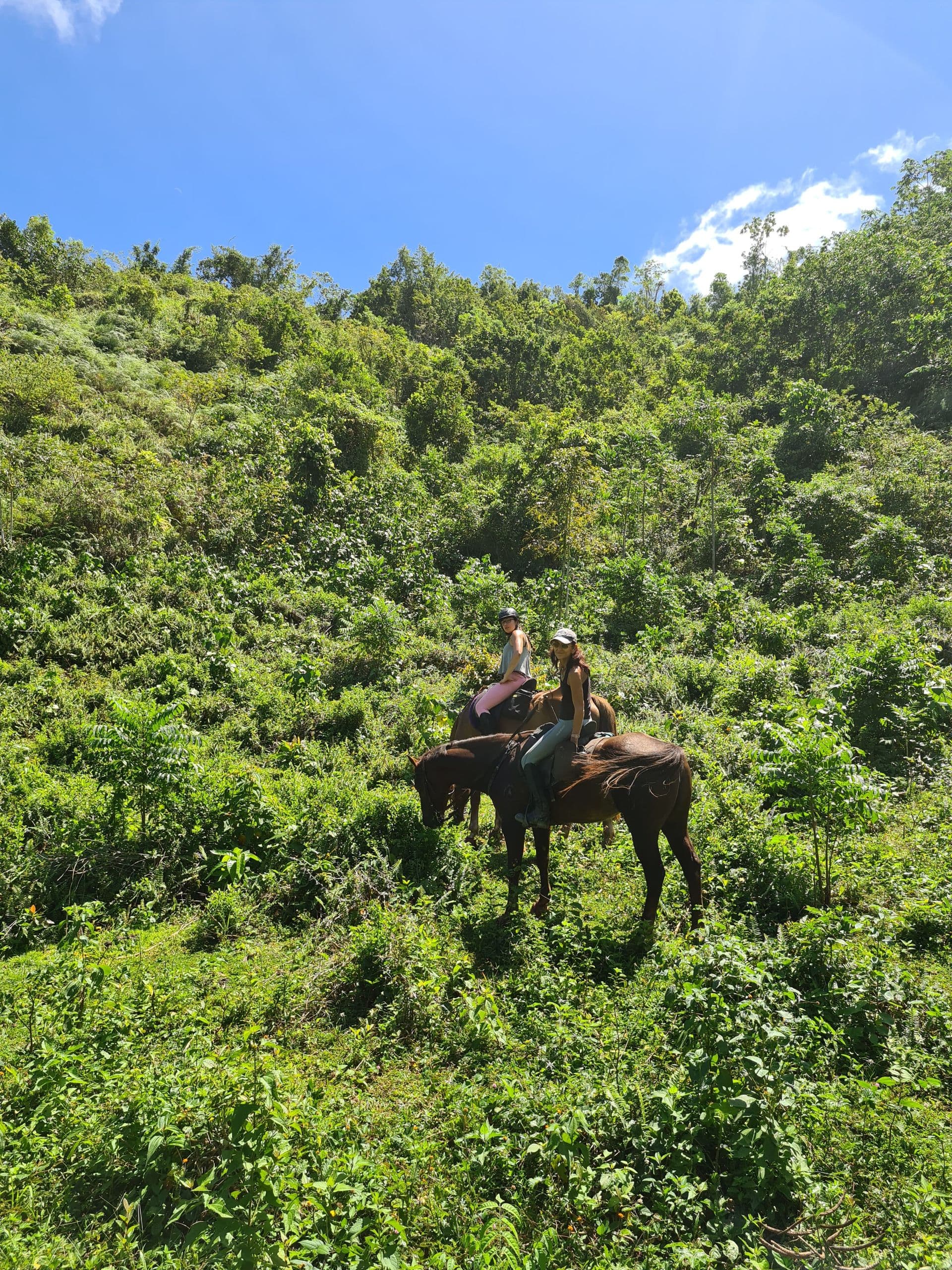 First Ride — A Beginners' Hour at the Hacienda gallery image