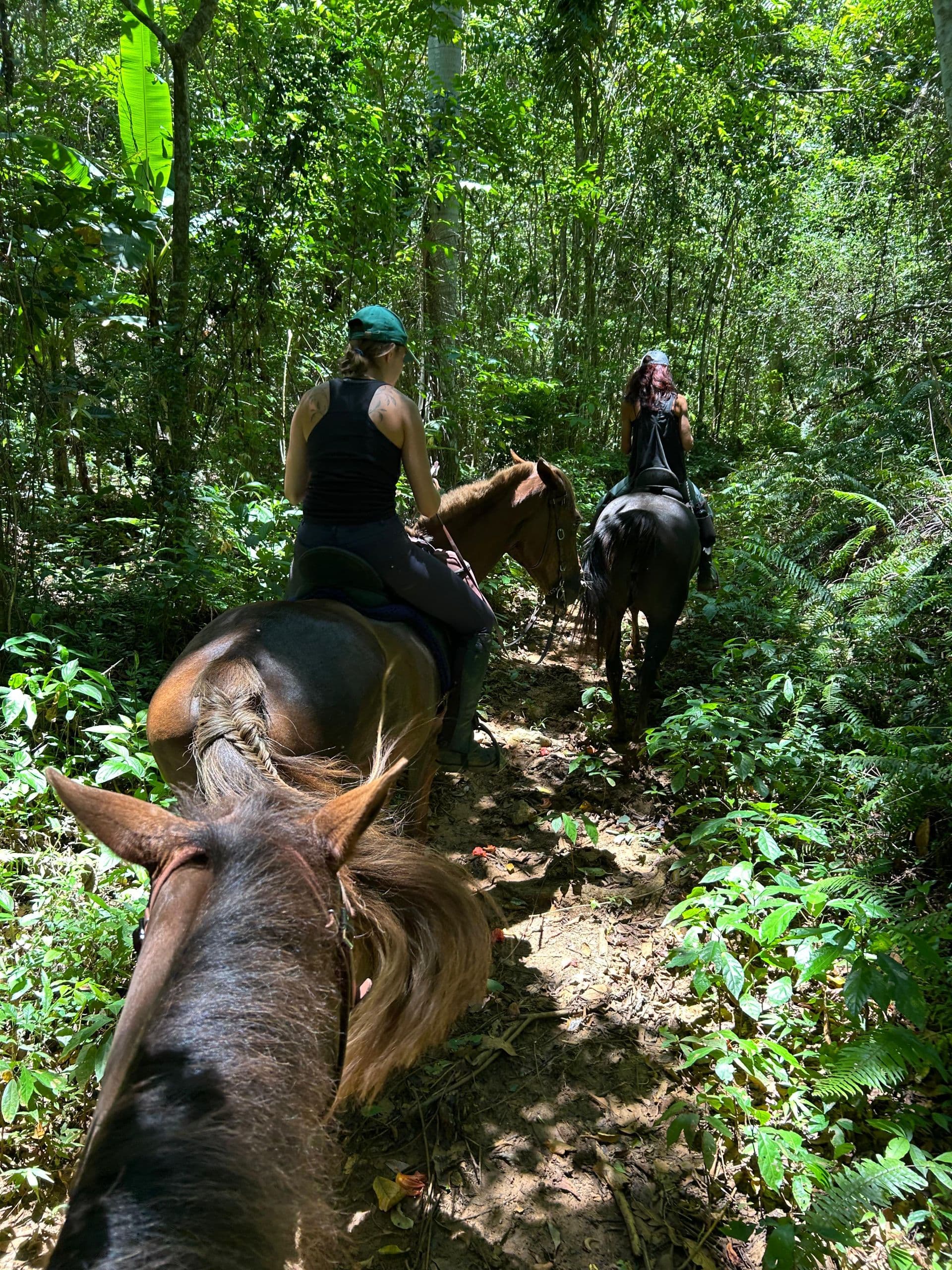 First Ride — A Beginners' Hour at the Hacienda gallery image