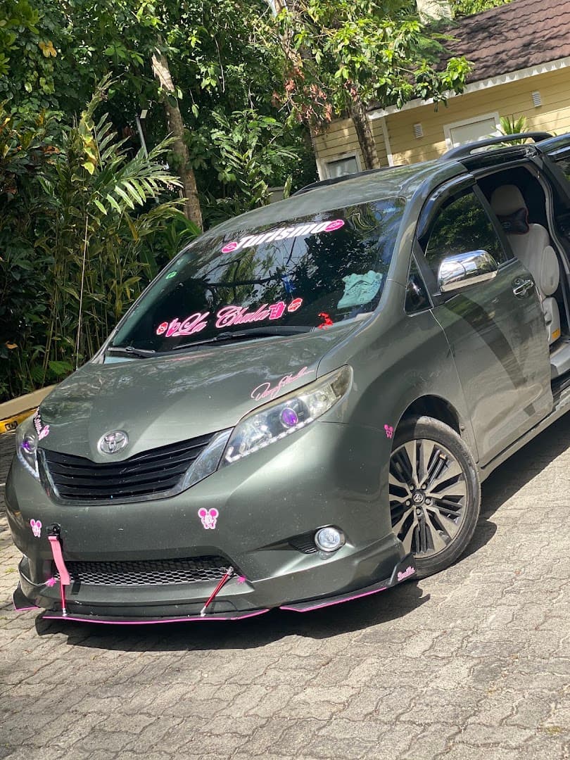 Private Airport Transfers & Driver — Las Terrenas gallery image