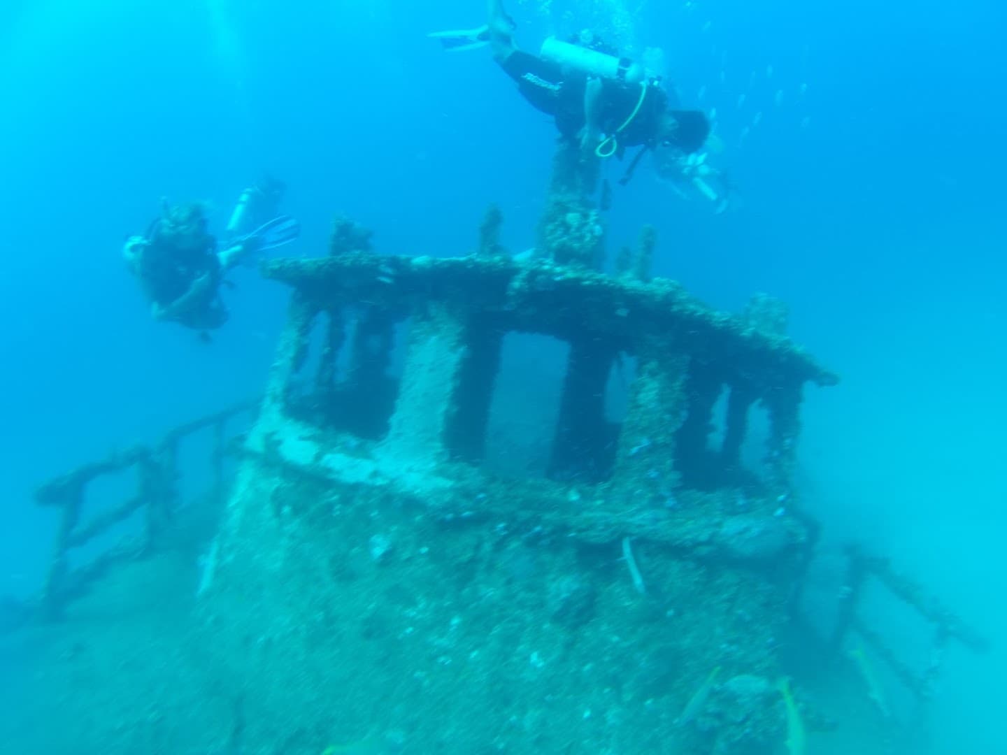 Plongée sous-marine avec Profundo Blue, Las Terrenas