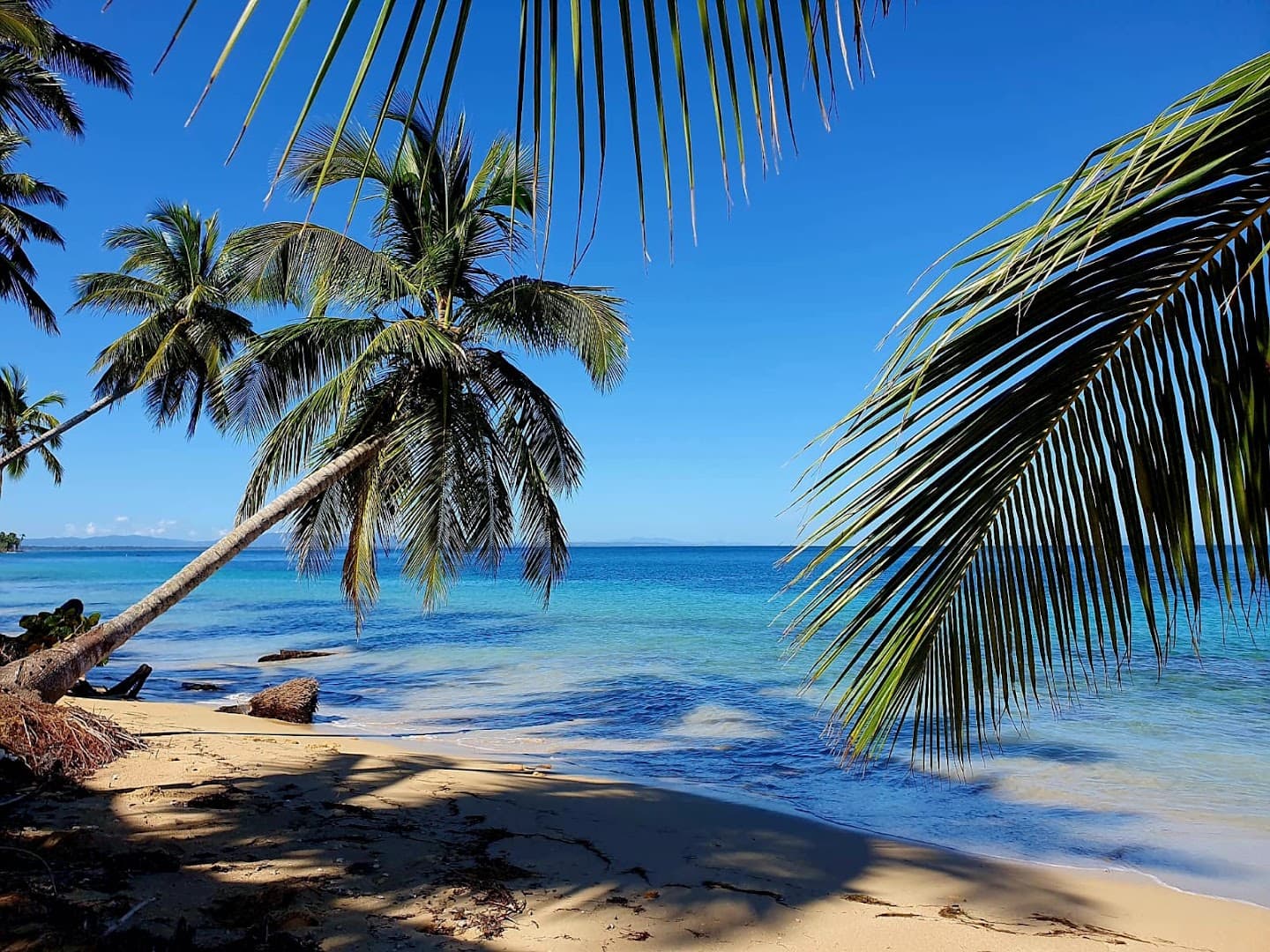 Private Airport Transfers & Driver — Las Terrenas