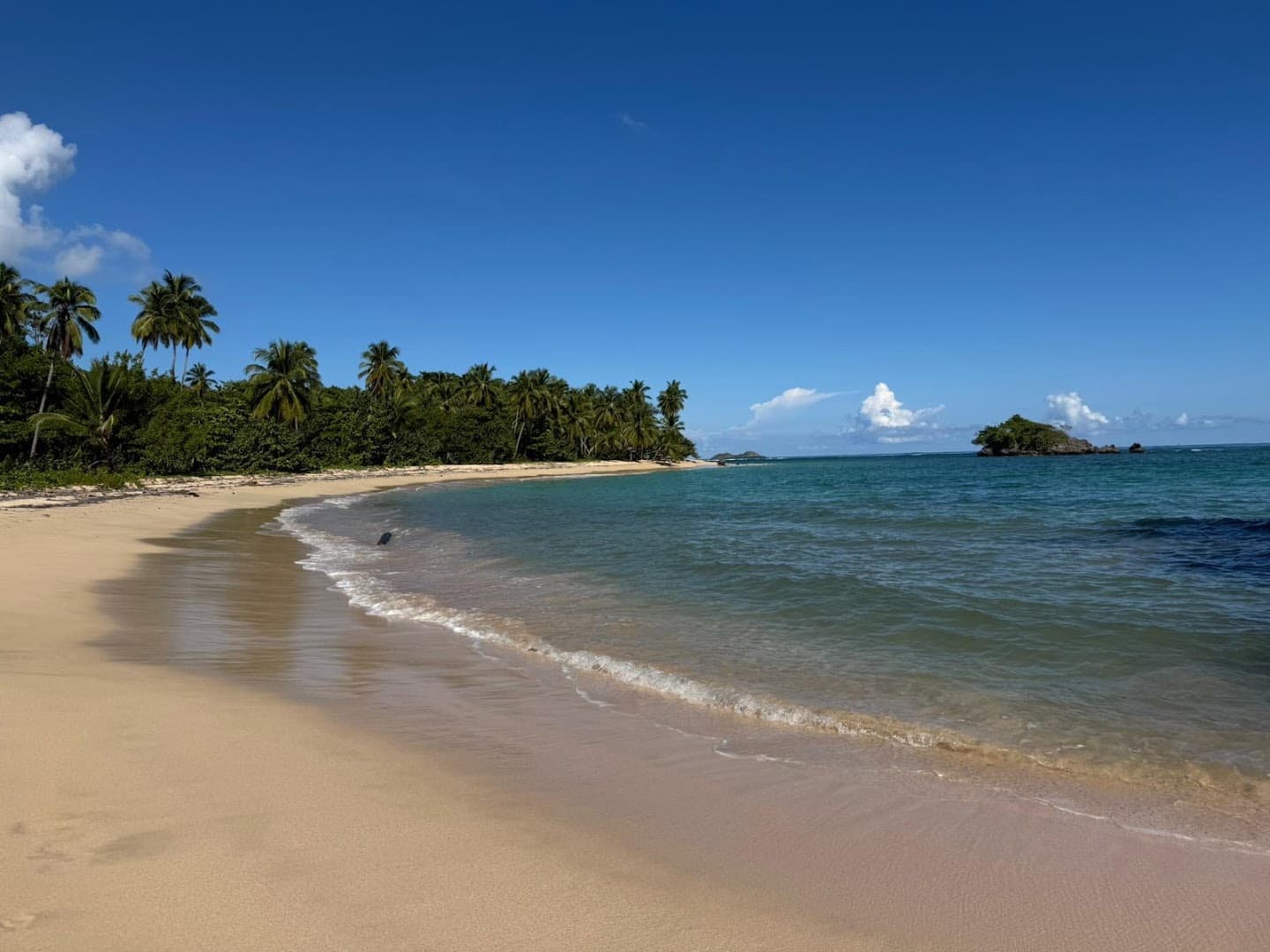 Private Airport Transfers & Driver — Las Terrenas gallery image