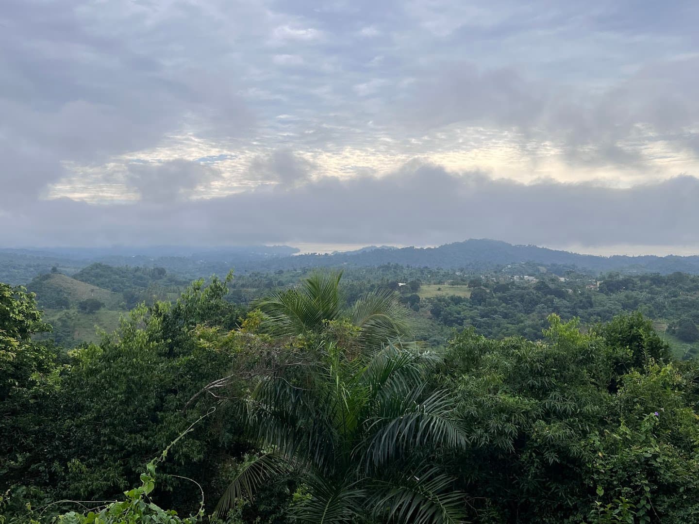 Zipline Canopy Tour over Samaná Bay gallery image