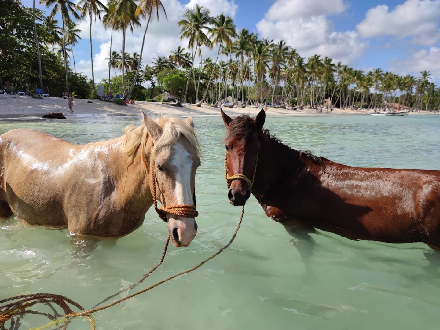 Playa Madama — 2½ Hours, on Horseback or on Foot gallery image