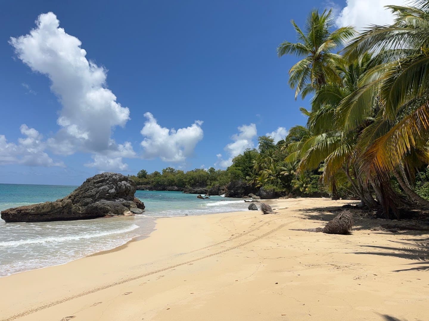 Playa Colorada — 2½ Hours, on Horseback or on Foot gallery image