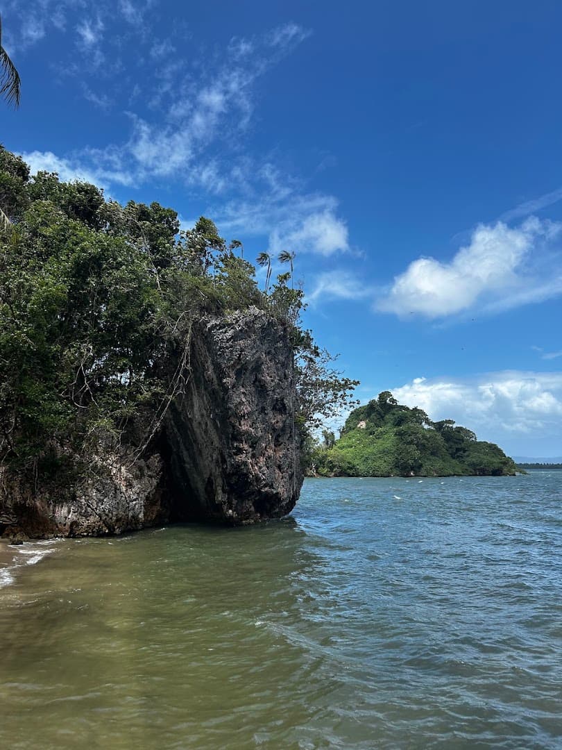 Los Haitises Caves and Mangroves — Full Day on the Bay