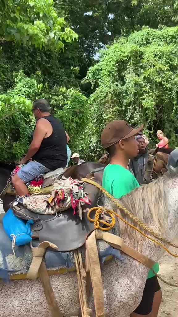 Los Haitises National Park & Bay Excursions gallery image