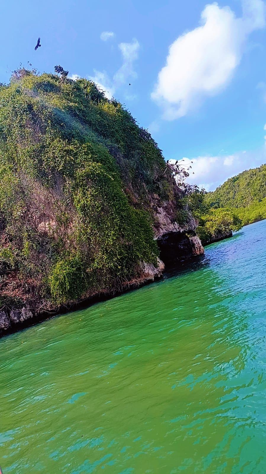 Parque Nacional Los Haitises en catamarán, más Cayo Levantado e Isla Bárcadi