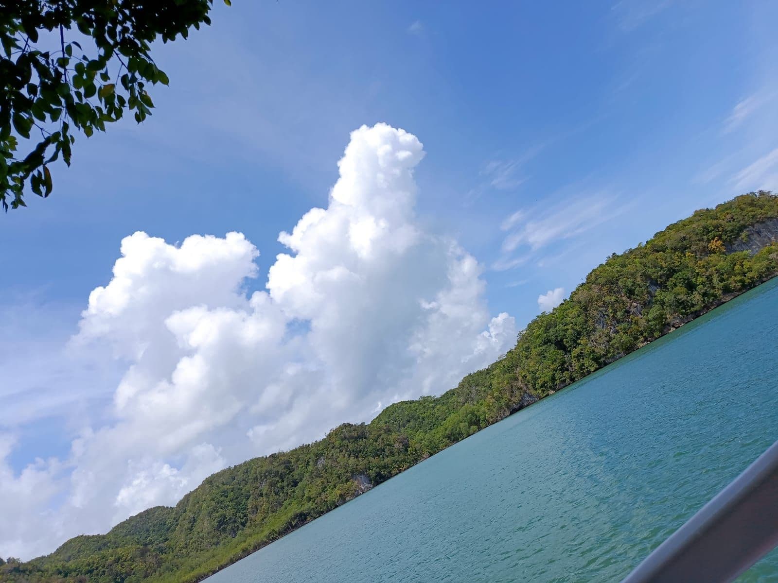 Parque Nacional Los Haitises en catamarán, más Cayo Levantado e Isla Bárcadi gallery image