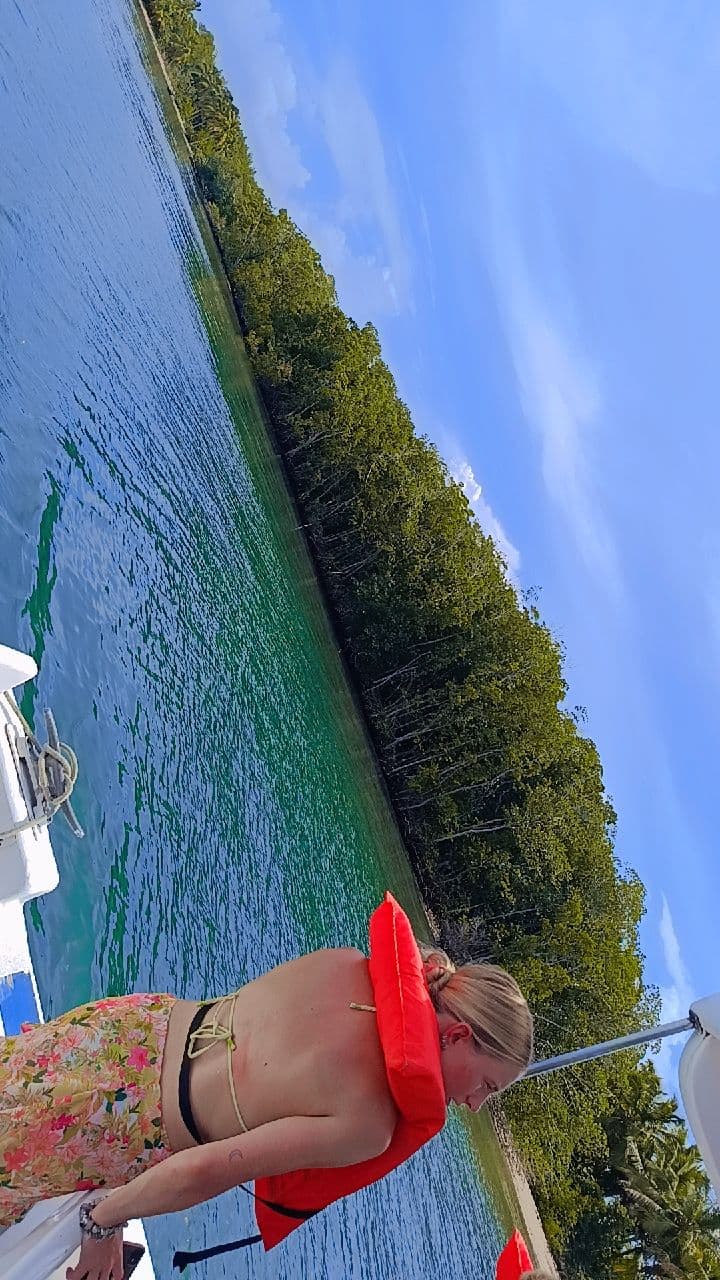 Parque Nacional Los Haitises en catamarán, más Cayo Levantado e Isla Bárcadi gallery image