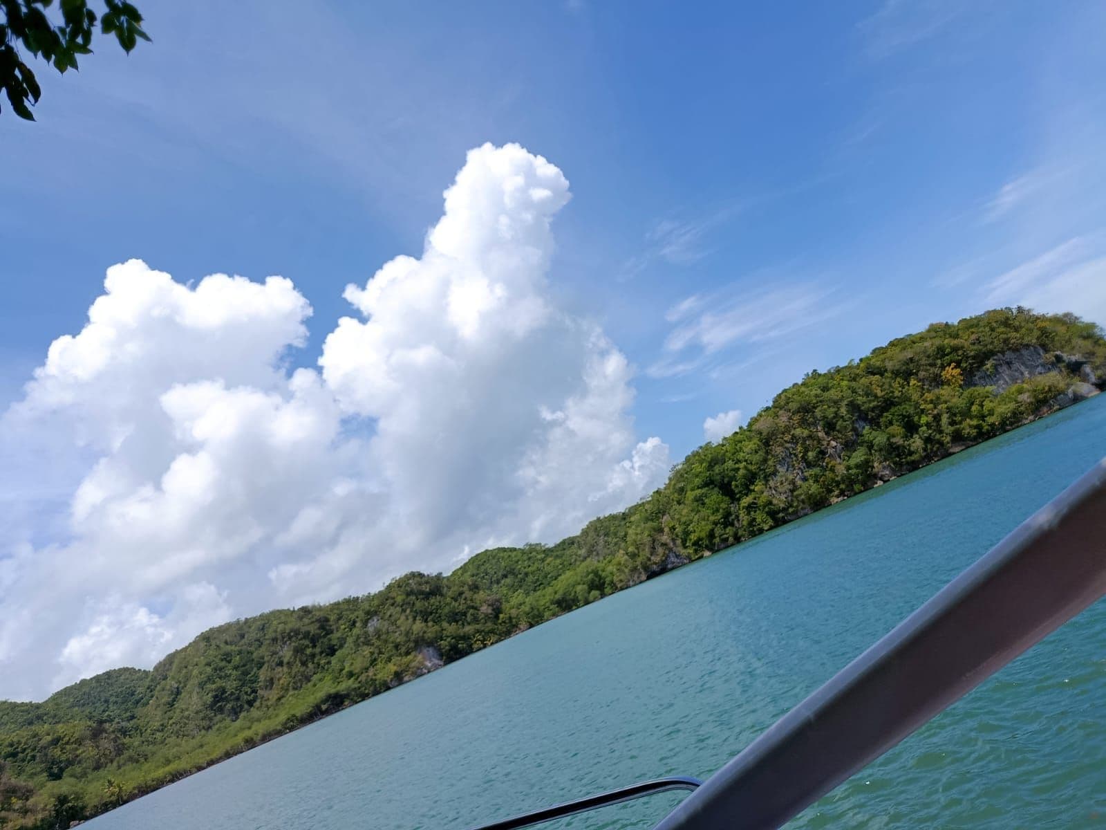 Los Haitises National Park by Catamaran, plus Cayo Levantado and Isla Bárcadi gallery image