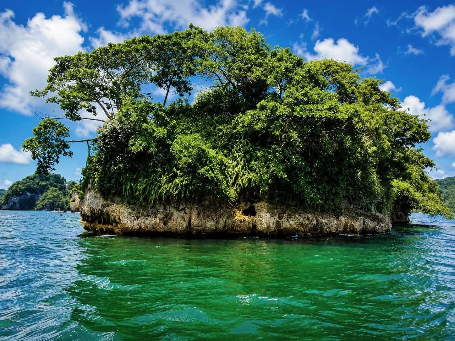Los Haitises National Park by Catamaran, plus Cayo Levantado and Isla Bárcadi gallery image