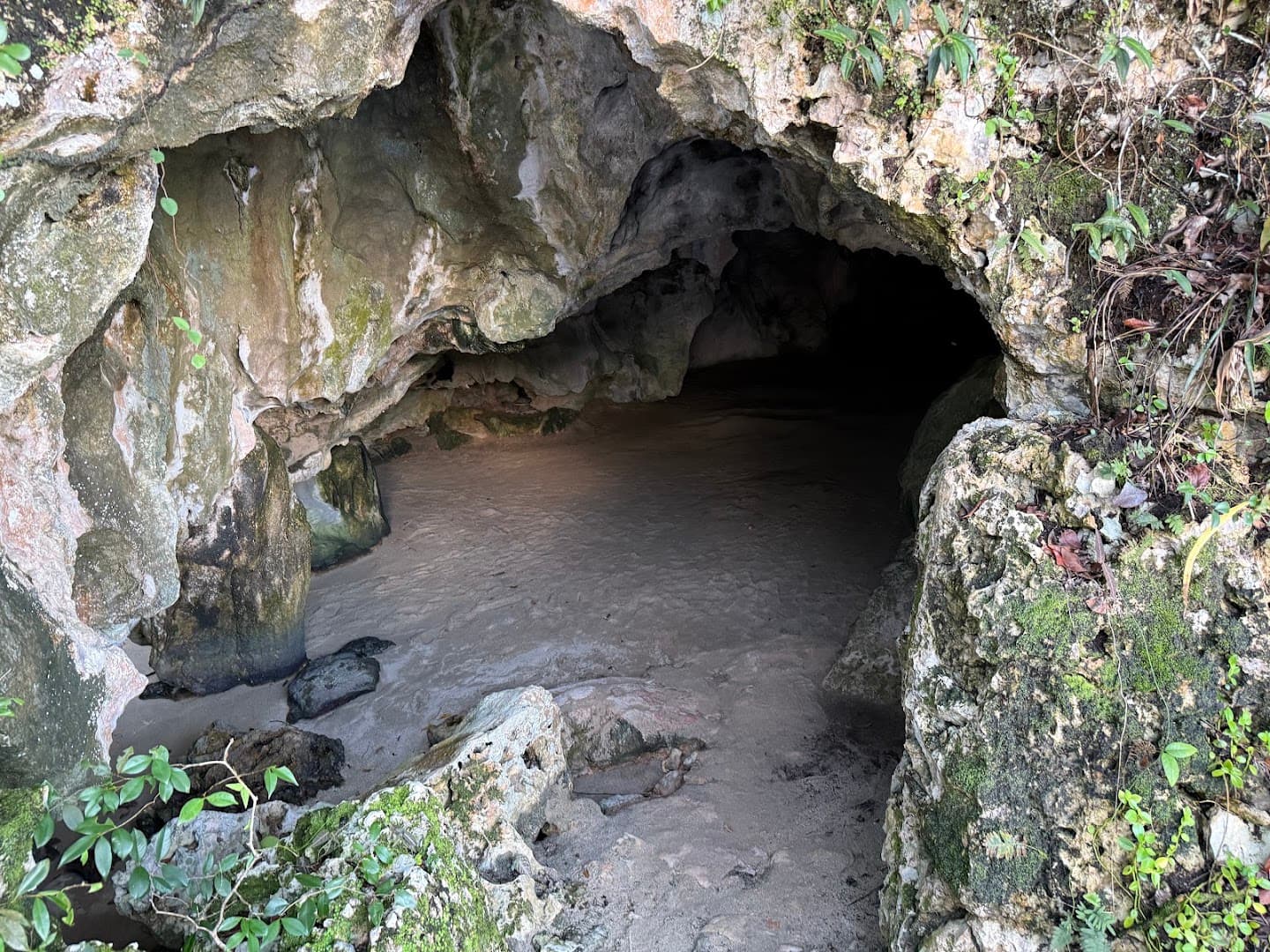 Private Guided Tours in Samaná gallery image