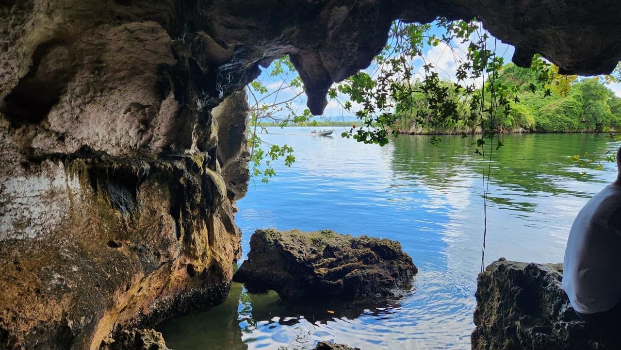 Los Haitises Caves, Bird Island & Cayo Levantado by Boat gallery image