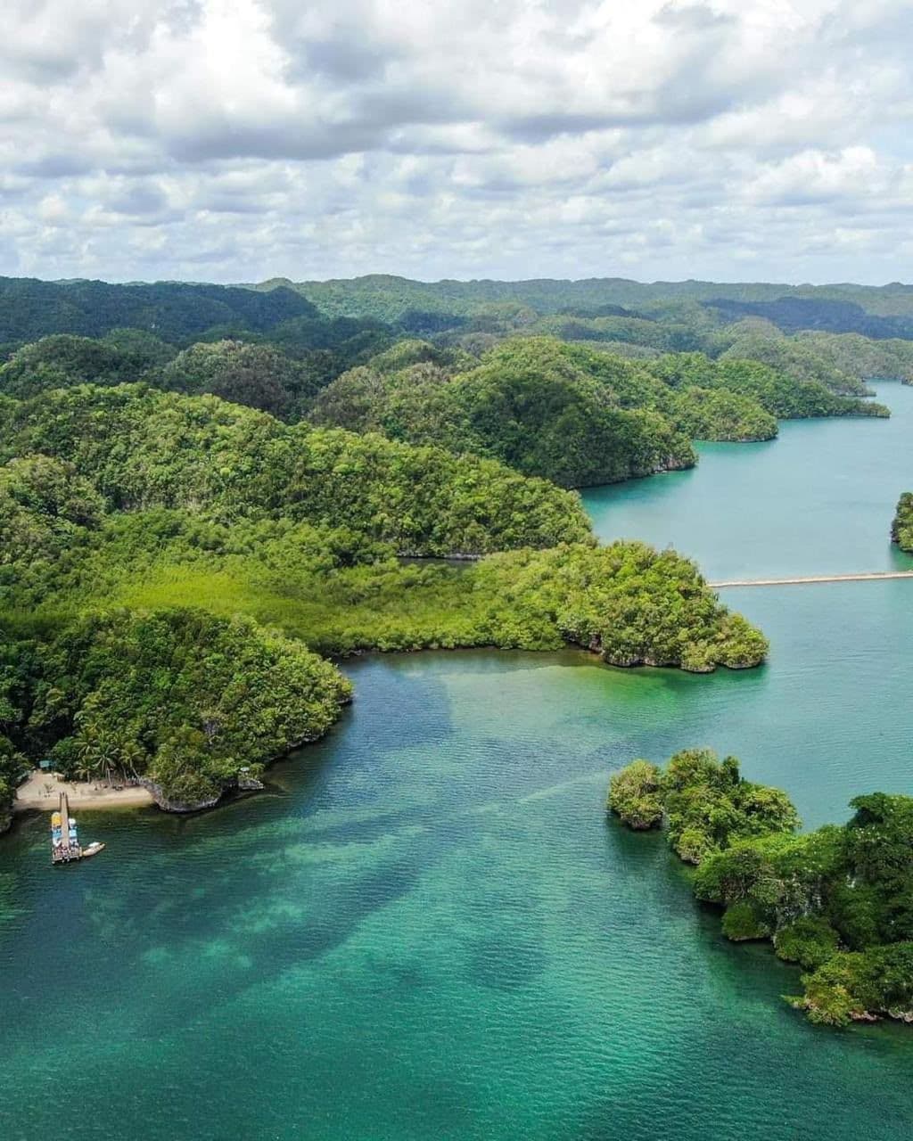 Los Haitises Caves, Bird Island & Cayo Levantado by Boat gallery image