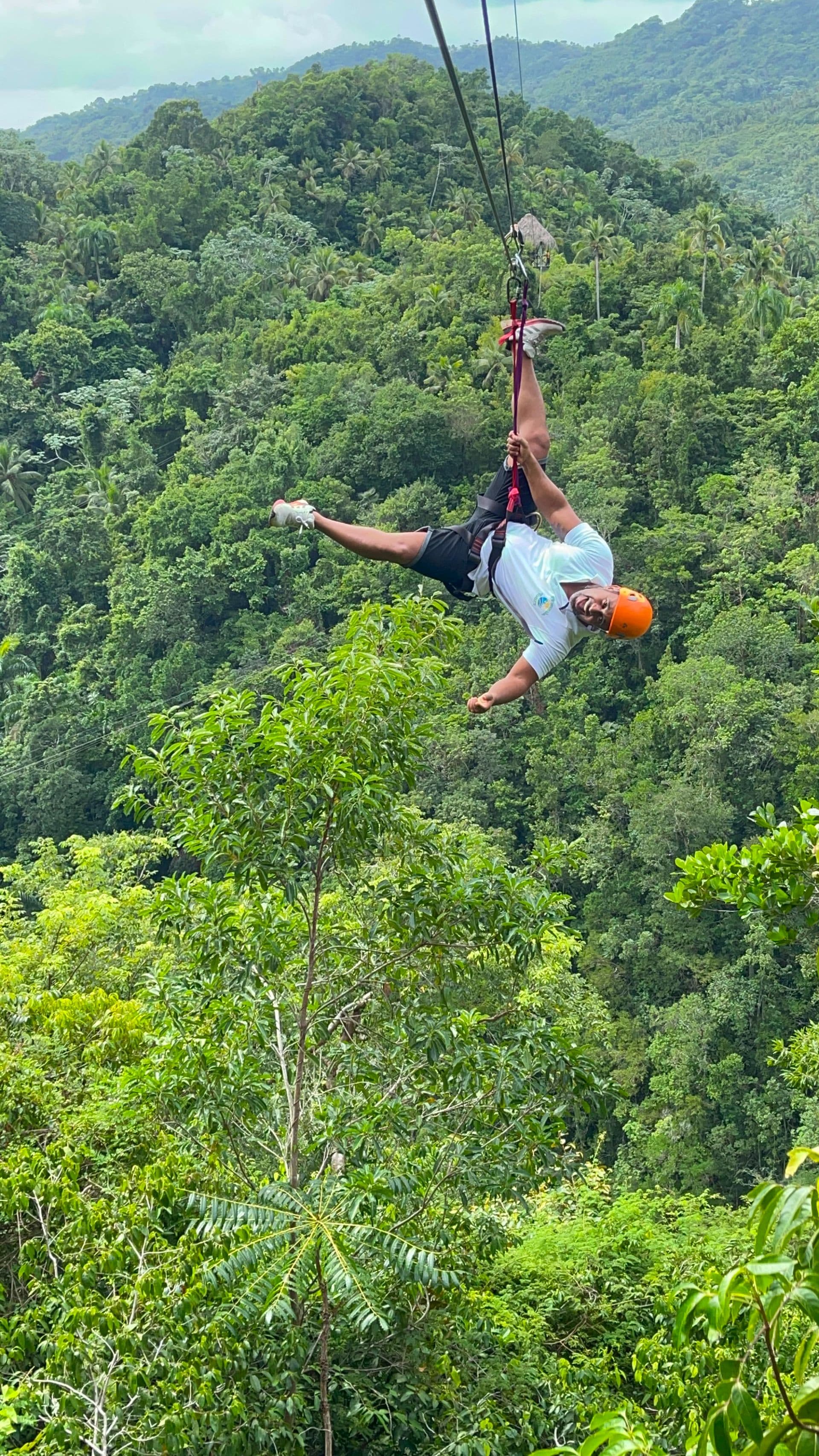 Canopy sobre el bosque de El Valle — a unos 300 metros de altura gallery image