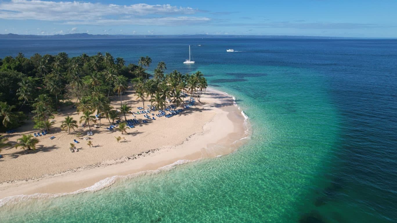 Whale Watching in Samaná Bay and Cayo Levantado. gallery image