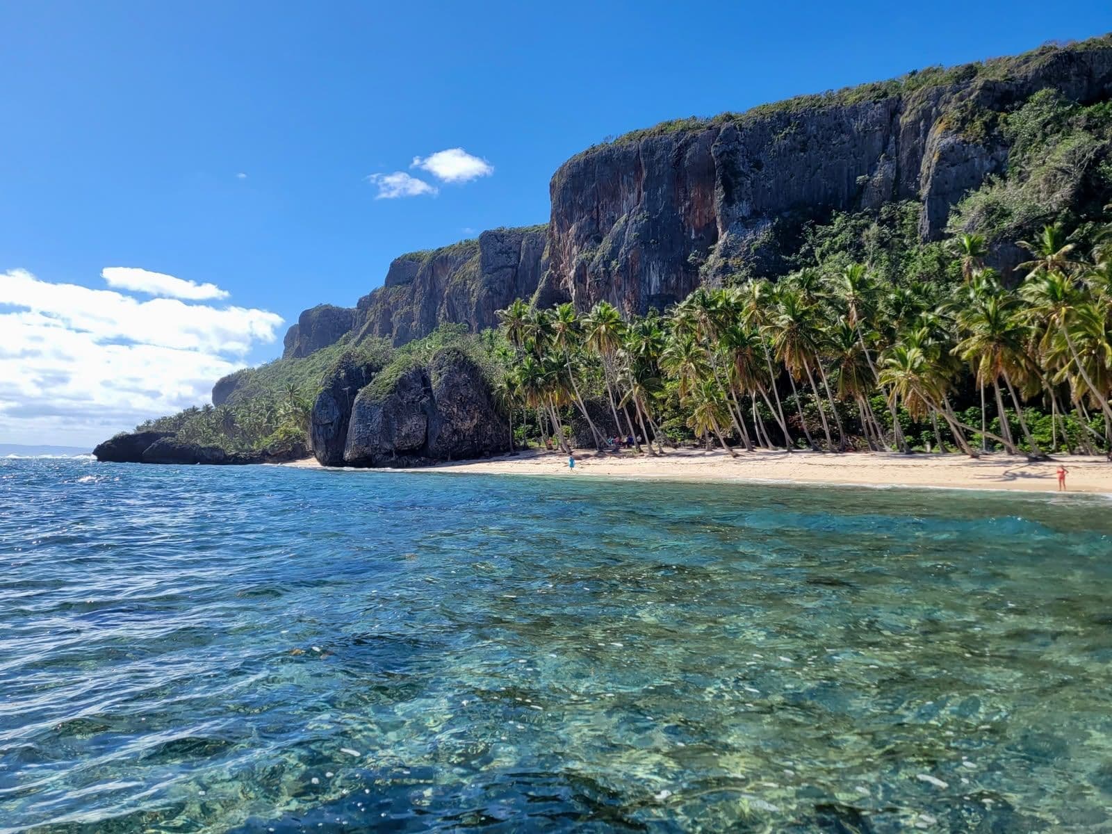 Avistamiento de Ballenas Jorobadas y Playa Fronton — Máximo Diez Pasajeros, Snorkel y Almuerzo en la Playa