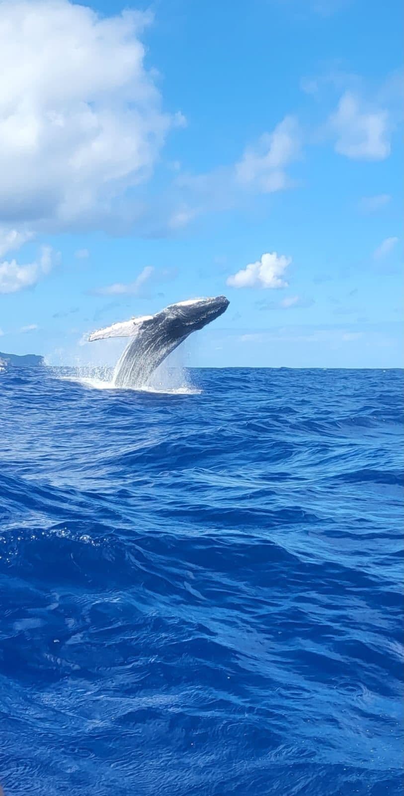 Frontón, Madama & Rincón by Boat, with Lunch and Snorkel Gear gallery image