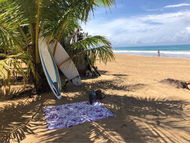 Surf Lessons with Enoha Surf School, Cosón gallery image