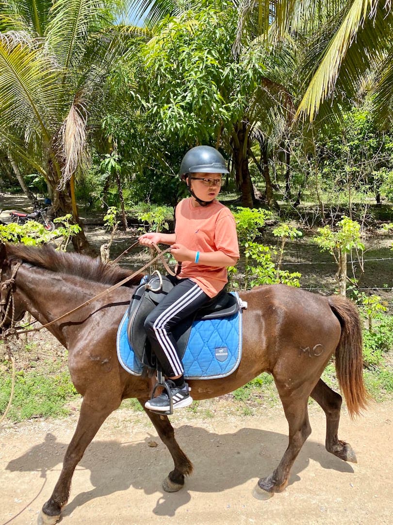 Sunset Ride on Horseback — Leaves at 4:30 pm gallery image